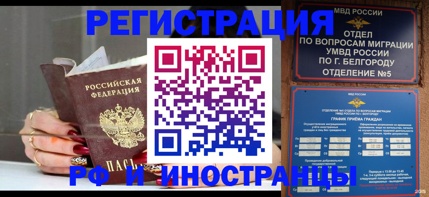 прописка в Чехове